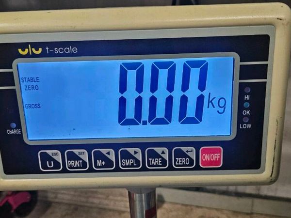 300Kg Platform Scales - Main image