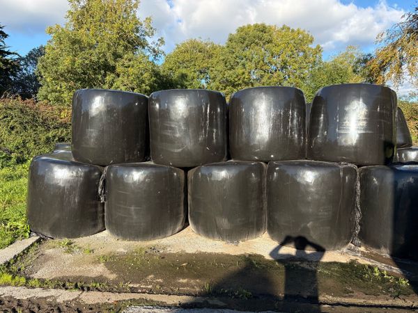Bales of silage - Main image