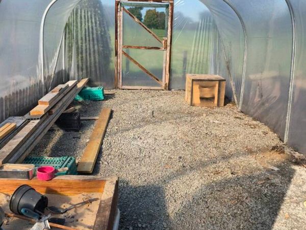 Polytunnel - Main image