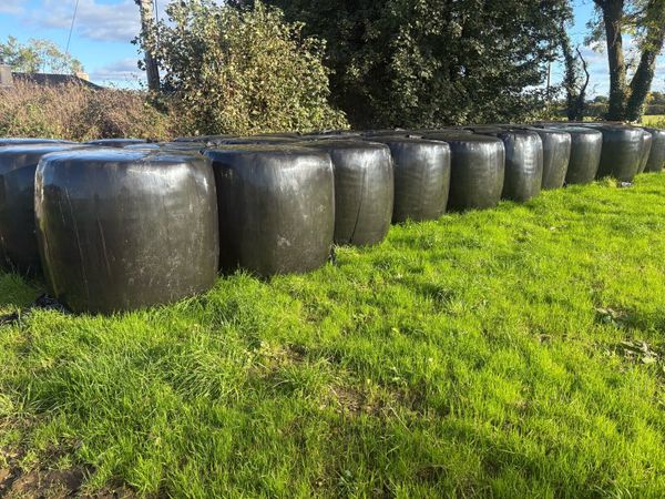 35 Bales of Silage - Main image