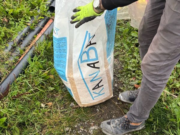 Free to good home / Half bag hemp - Main image