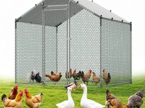 Large Metal Chicken Coop 2 x 2 x 2 m Walk-in Chick - Main image