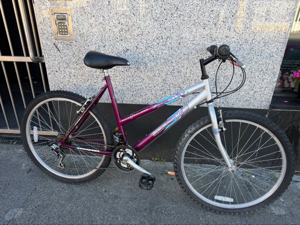 Essenes bike ❗️Open 7 days of the week ❗️ - Main image
