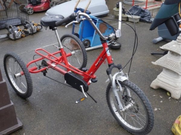 Adults Trike /Special Needs - Main image