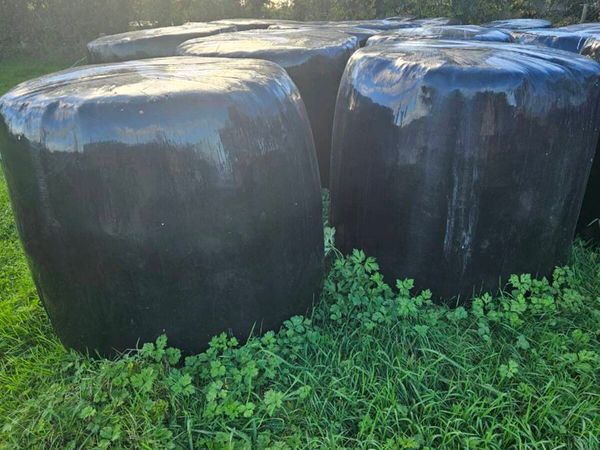 Round Bales - Main image