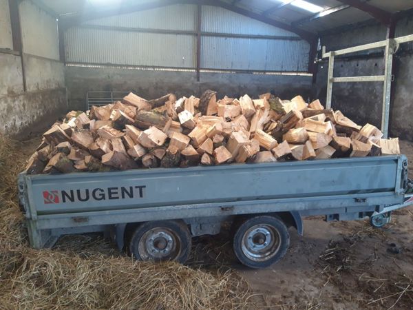 🔥Firewood 🔥 - Main image