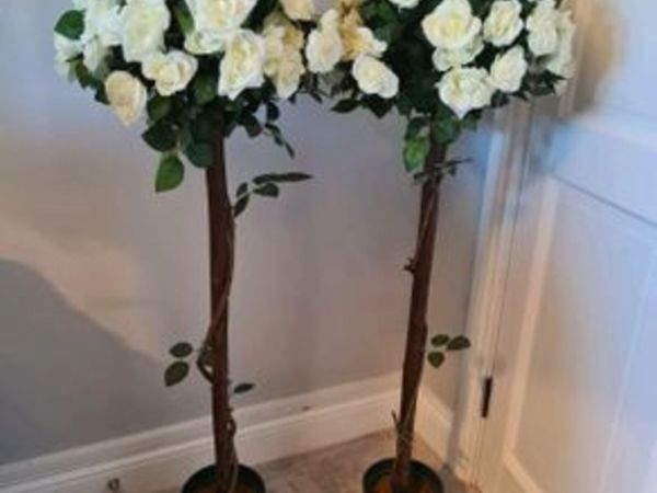 Two Rose Trees for Hire/Rent - Main image
