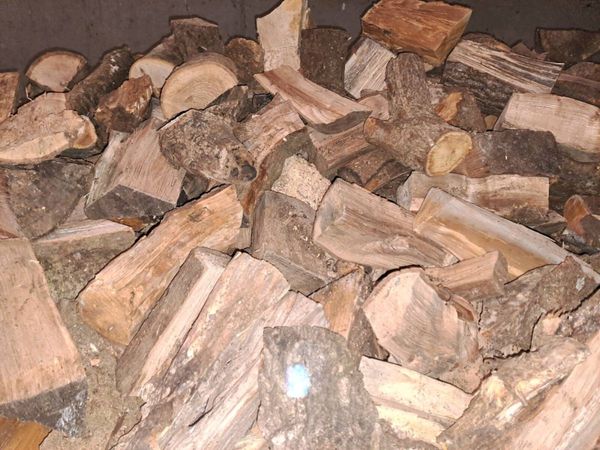 Split firewood - Main image