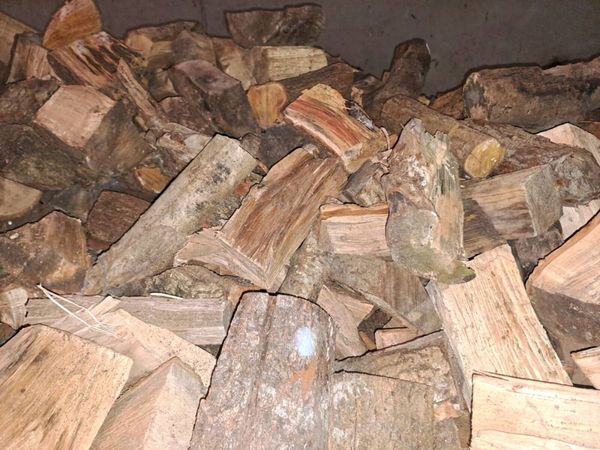 Split firewood - Main image