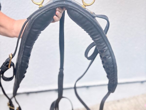 Sulky equipment - Main image