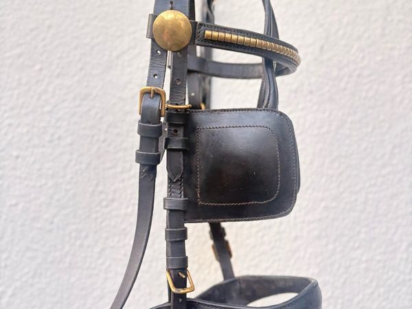 Sulky equipment - Main image