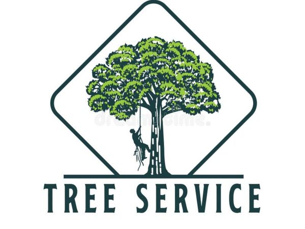 Tree Services - Main image