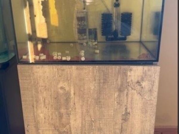 Fish Tank & Flowerhorn Kamafa fish - Main image