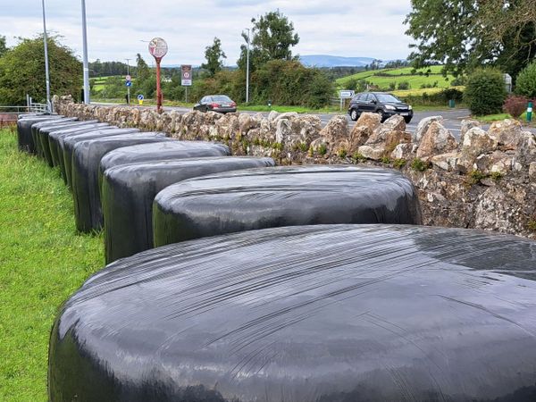 17 Silage Bales remaining for quick sale - Main image