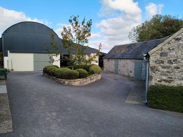 Rehabilitation, full livery breaking in Ballyhale. - Main image
