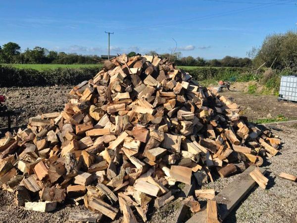 Fire wood ash hard wood - Main image