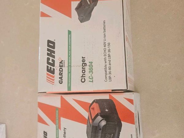Echo Battery and Charger - Main image