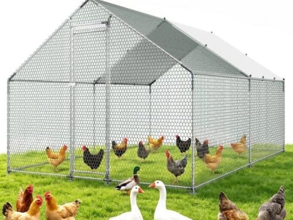 Large Metal Chicken Coop, 3 x 4 x 2 m, Walk-in Chi - Main image