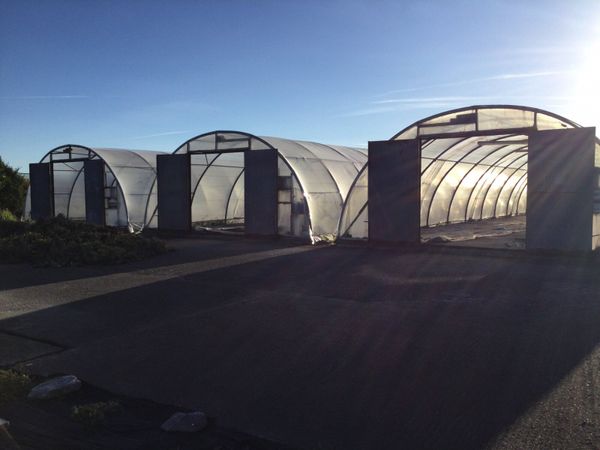 Polytunnels - Main image