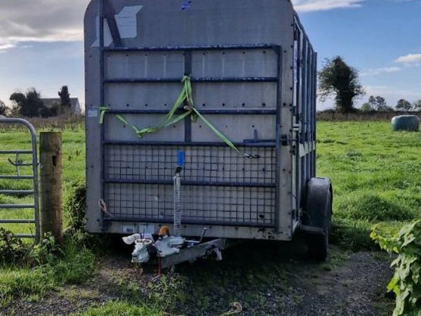 IFOR WILLIAMS 10x5 livestock trailer DECKS - Main image