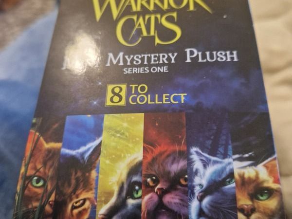 Warrior cats series one - Main image