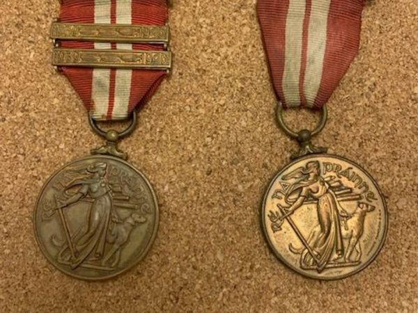 Na Fórsaí Cosanta (Defence Forces) Medals - Main image