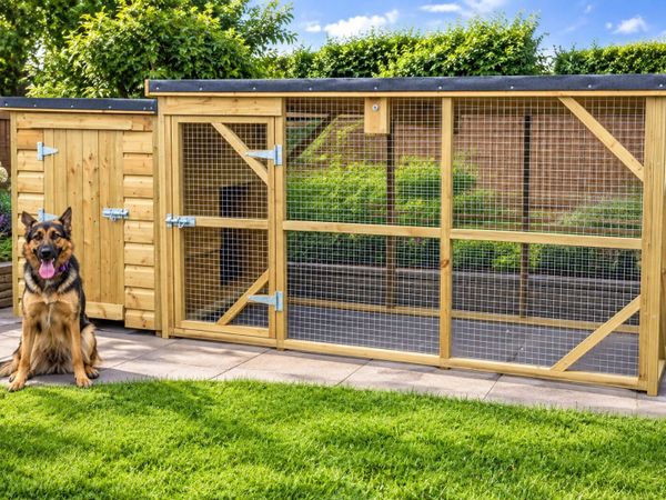 Dog kennel & enclosure - Main image