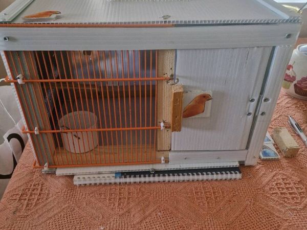 Bird transport cage - Main image