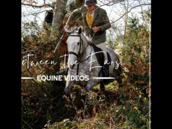17.1 hh hunter - Main image