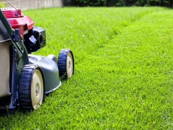 Grass Cutting & Lawn Mowing - Main image