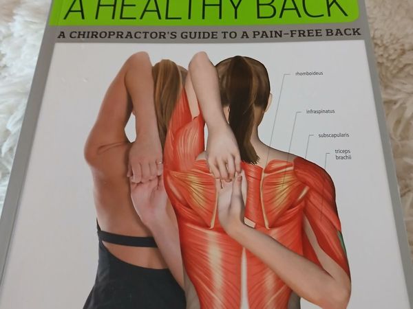 Anatomy of Healthy Back - Main image