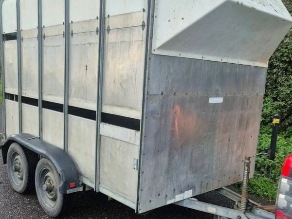 Ifor williams 10 x 6 high roof Horse/cattle - Main image