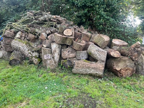 Seasoned Ash firewood - Main image