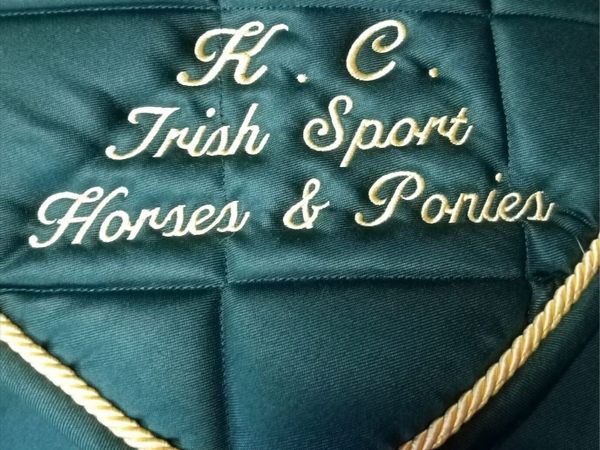 Young stock Cobs and pleasure rides - Main image