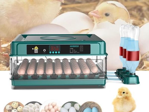24 Egg Incubator with Automatic Humidity Control - Main image