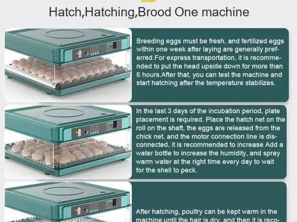 24 Egg Incubator with Auto Temperature Control - Main image