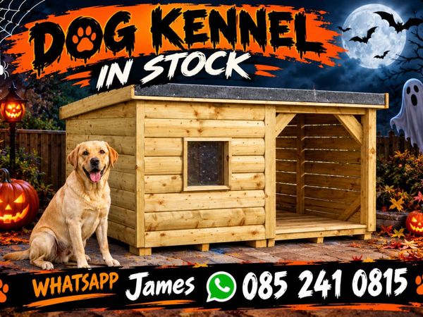 Dog Kennel IN STOCK ! - Main image
