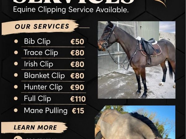 Clipping Services - Main image