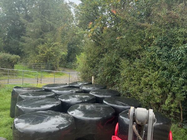 Silage bales - Main image