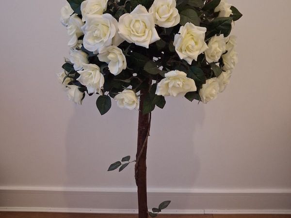 Rose Tree - Main image