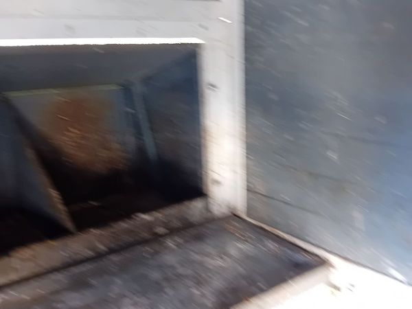 Poultry - Main image