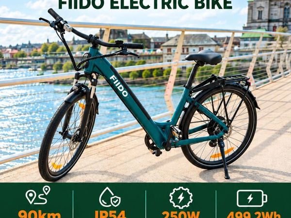 FIIDO C11 Electric Bike - Main image