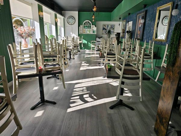 Cafe chairs - Main image