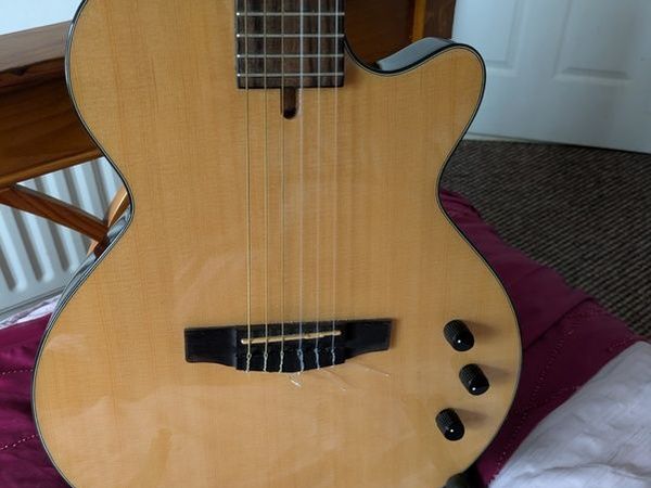 Cort Nylectric Guitar - Main image