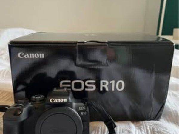 Canon camera and lenses - Main image