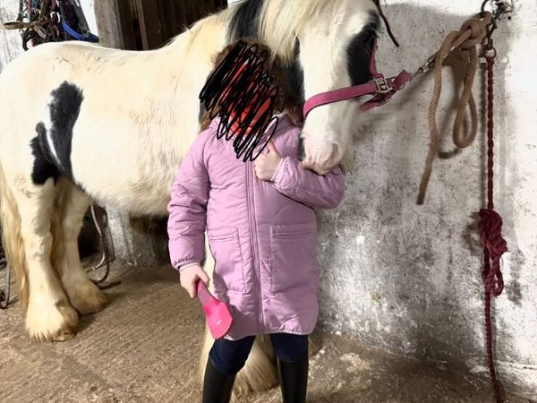 Pony - Main image