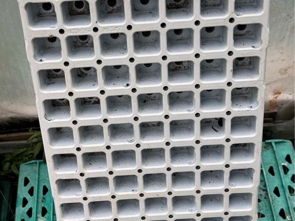 Seedling trays - Main image