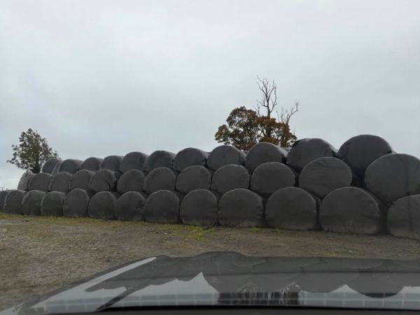 Silage Bales - Main image