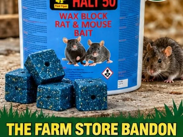 Rat and mouse bait - Main image