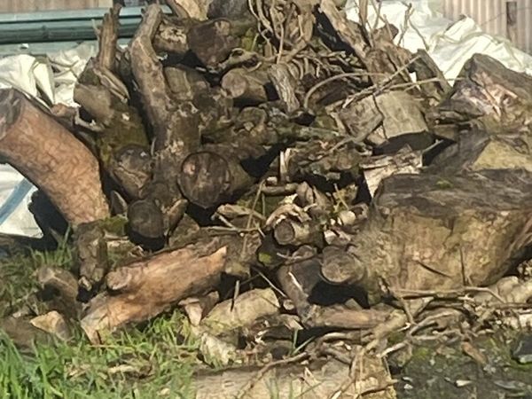 FIrewood - Main image